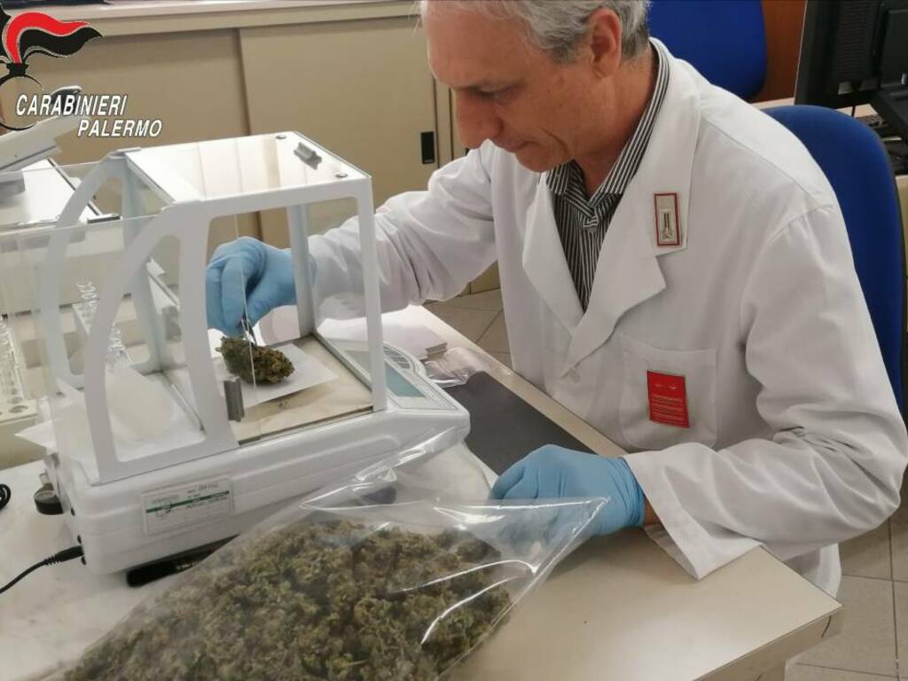 carabinieri analisi marijuana laboratorio